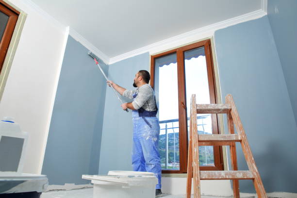 Mold Documentation for Insurance Claims in Milbank, SD