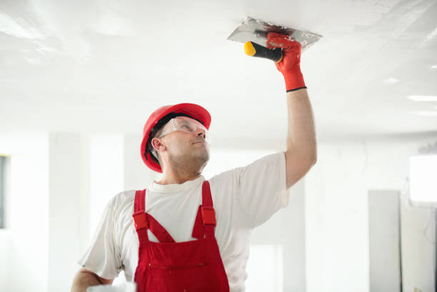 Best Black Mold Removal  in Milbank, SD
