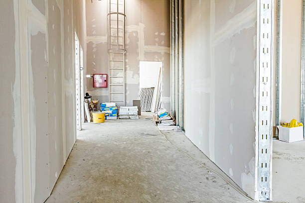 Best Post-Construction Mold Inspection  in Milbank, SD