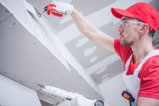 Best Mold Remediation for Healthcare Facilities  in Milbank, SD